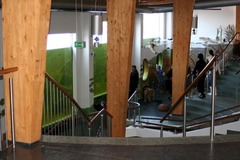 Killikus® Fotographie